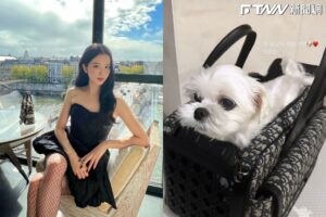 女星Jisoo大手筆送愛犬「11萬生日禮」　粉絲驚嘆：想報名當寵物了