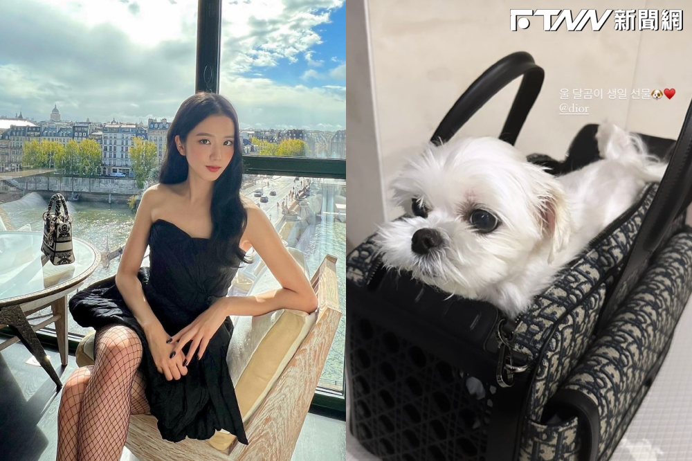 女星Jisoo大手筆送愛犬「11萬生日禮」　粉絲驚嘆：想報名當寵物了
