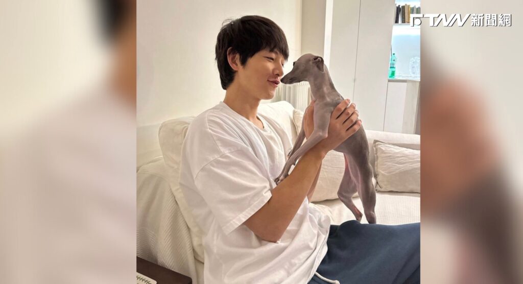 宋仲基攜愛妻戀夏羅馬街頭逛街！　一個小動作洩露恩愛模樣
